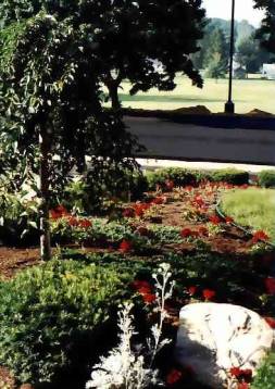 landscaping pictures